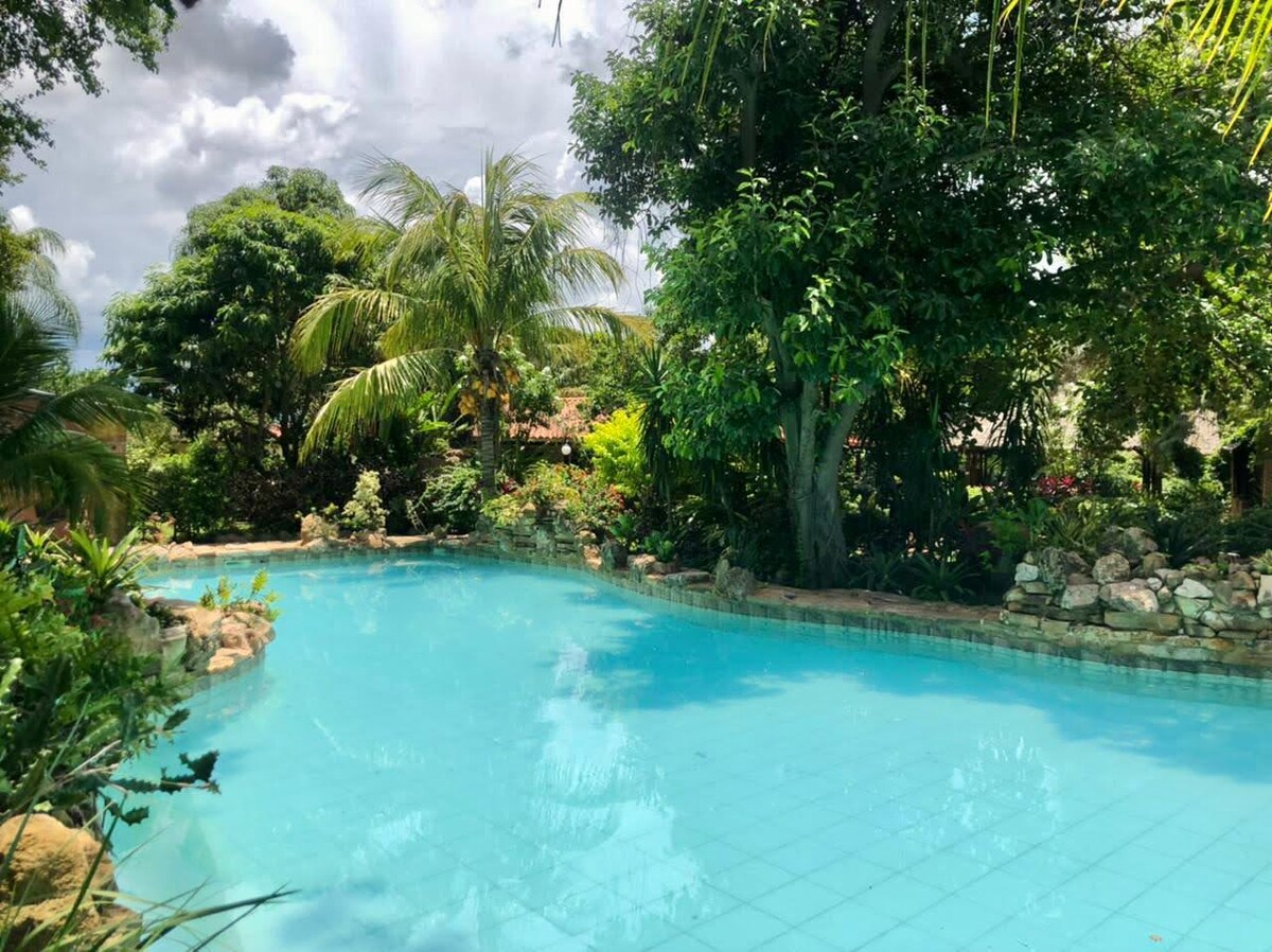 A tranquil pool is surrounded by lush greenery and tropical plants, creating a serene environment. The clear water reflects the sky above, inviting relaxation. Stone pathways and landscaping are visible, adding to the natural beauty of the outdoor space.
