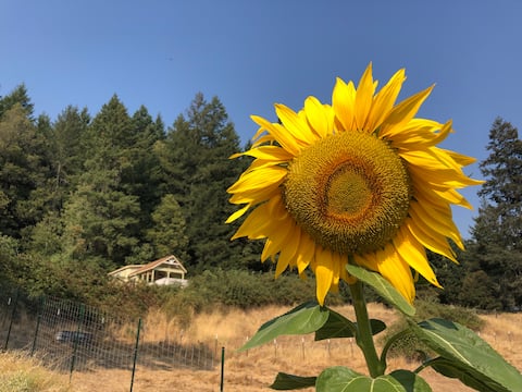 Charming tiny house on a beautiful 20 acre ranch.