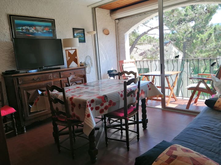 Appart 40 M², 6 Pers, Wifi, Piscine, Tennis - Argelès-sur-Mer