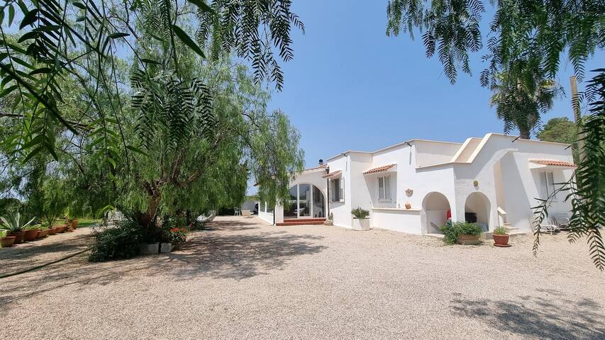 Villa Lido with pool & garden/parc gallery image 3