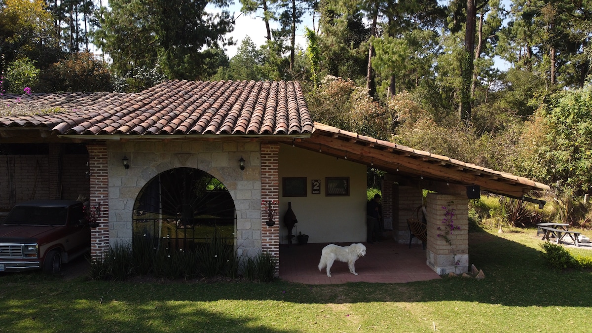 A rustic structure is framed by lush greenery, showcasing a tiled roof and stone walls. A spacious porch features an arched entrance, offering a glimpse of the interior. A white dog is seen on the grassy area, emphasizing the serene outdoor space.