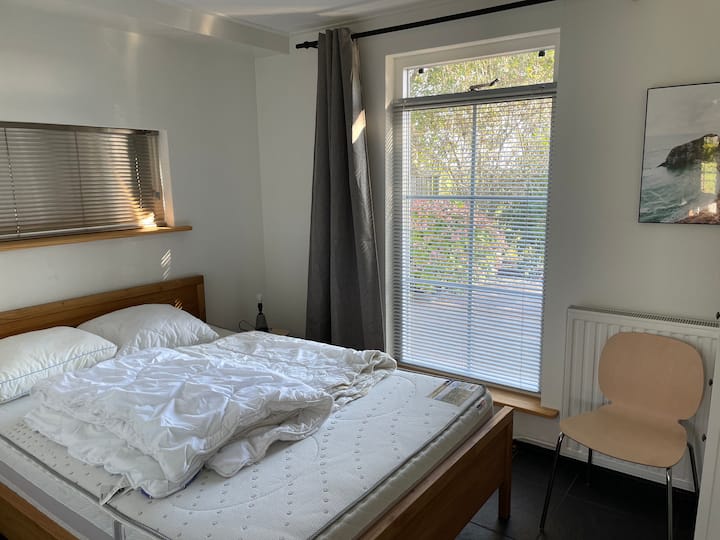 غرفة نوم في الطابق السفلي 