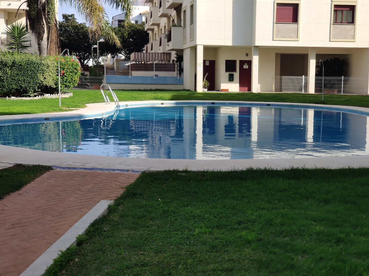 A clean, inviting swimming pool is surrounded by well-maintained green grass and bordered by a paved walkway. Palm trees provide shade nearby, and residential buildings are visible in the background, creating a serene outdoor area.
