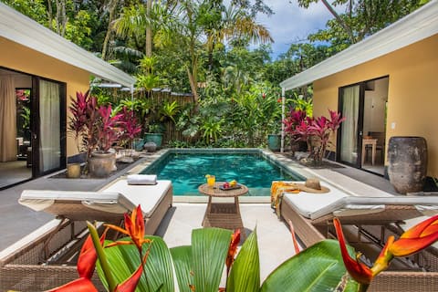 Luxury and Privacy 3 King Suites Central Location