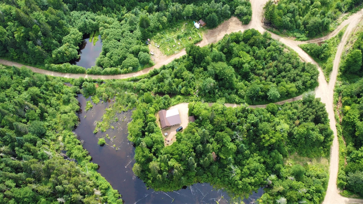 An aerial view reveals a secluded cabin nestled among vibrant greenery, bordered by a serene body of water. Multiple winding paths lead to the cabin, enhancing the sense of privacy and connection to nature. Surrounding lush vegetation reflects the richness of the landscape.