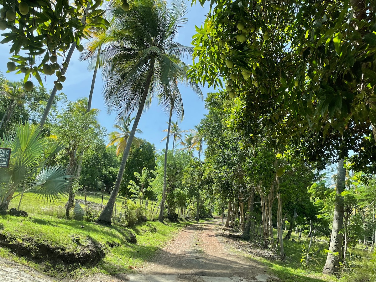 A winding dirt path is bordered by tall palm trees and lush tropical foliage. The sun casts a warm glow over the landscape, highlighting the vibrant greenery of the private grounds. The serene setting leads towards the villa, offering a peaceful visual retreat.