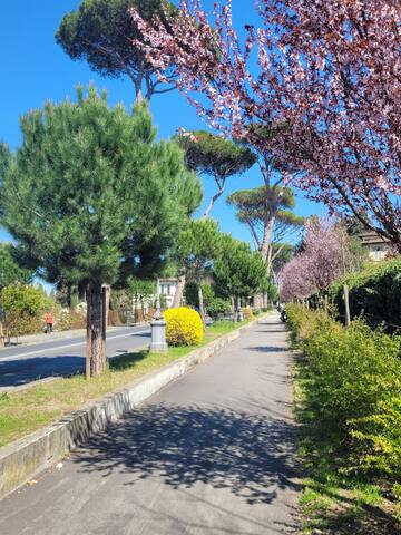 Villa Lia al Piazzale Michelangelo gallery image 4
