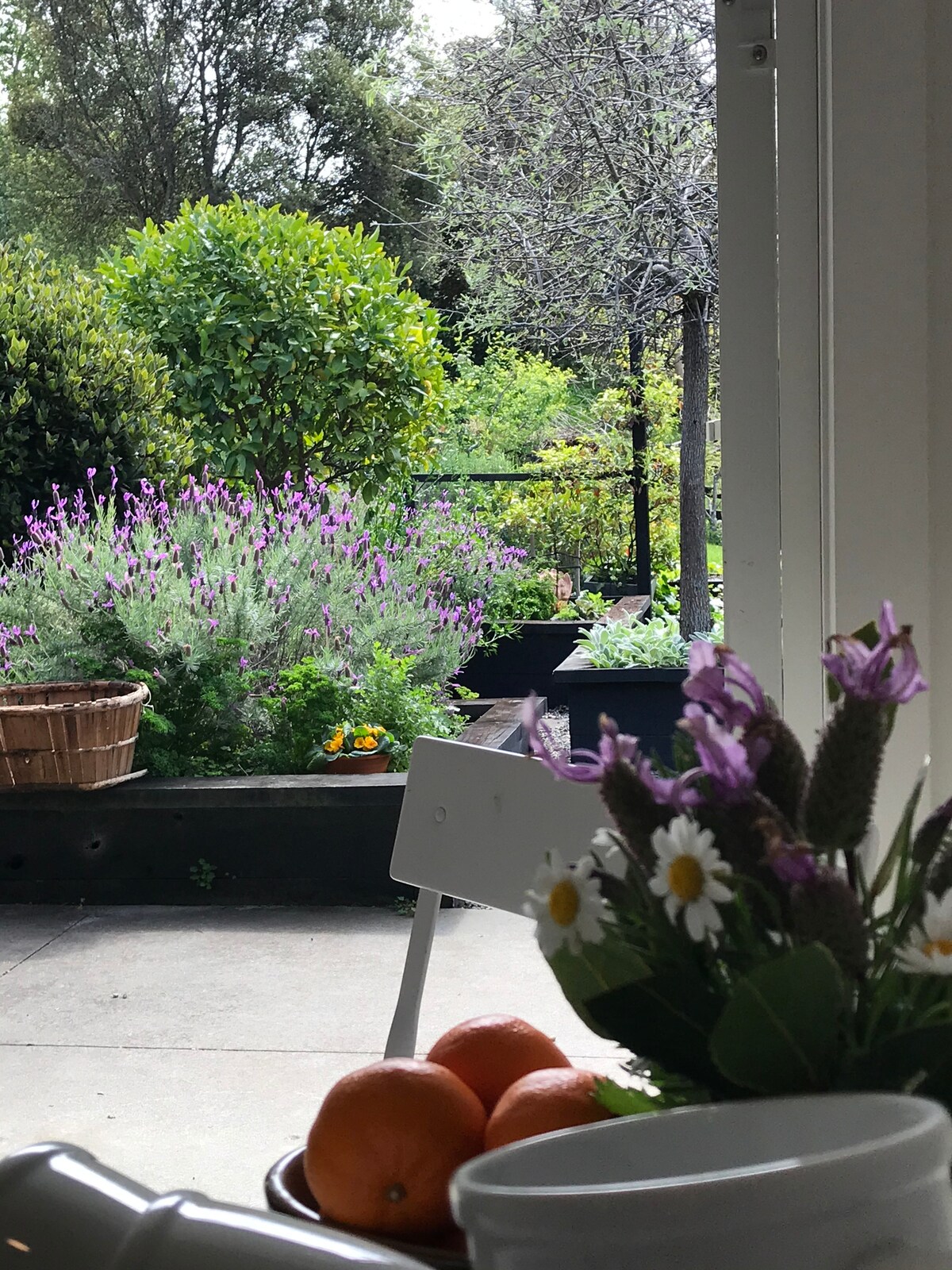 A view of the garden is captured, featuring a variety of lush plants and blooming lavender. Bright oranges are presented in a bowl, accompanied by a small bouquet of daisies and other flowers. Natural light accents the greenery, creating a fresh and vibrant atmosphere.