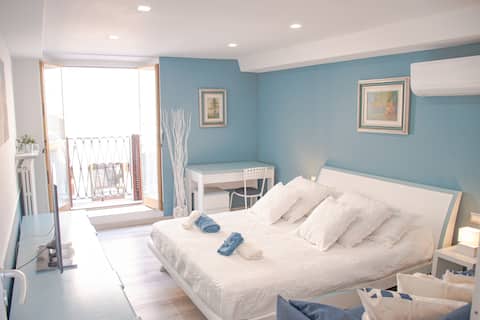 CASA AZZURRA- 61Mq 30Mtr from the Palace of Venaria