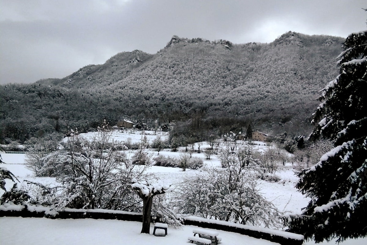 Listing image 21 at Mas Can Roure in Santa Pau