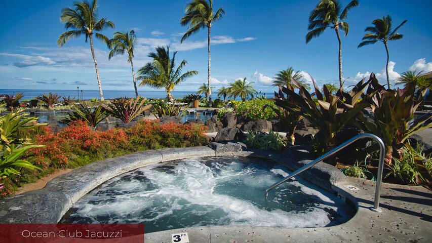 Ocean View Paradise! 5 star Reviews! gallery image 3