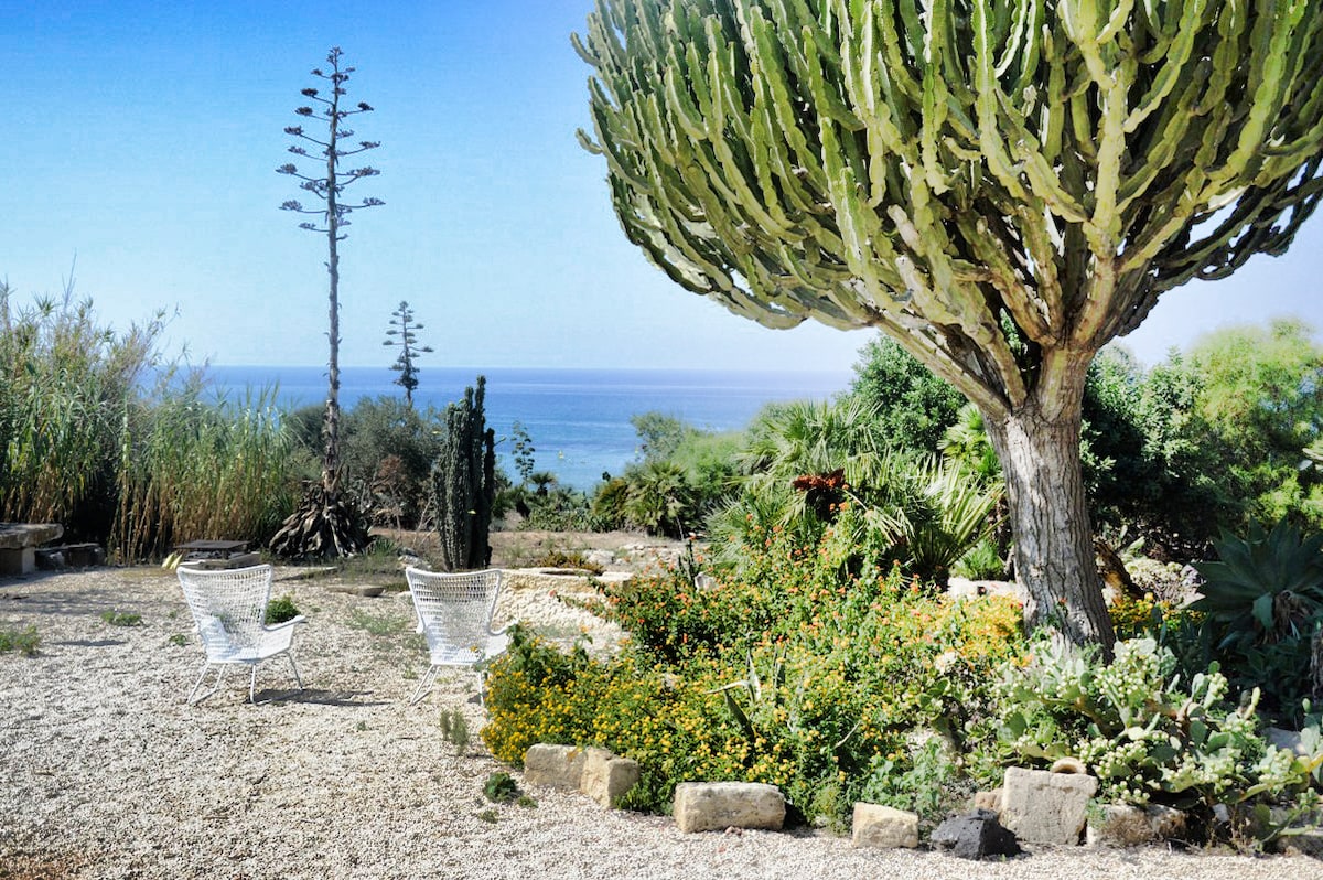 A scenic garden features a large, sculptural cactus tree alongside vibrant flowerbeds. Two white chairs are positioned on gravel, offering a view of the sea in the distance. Lush greenery and various native plants create a natural atmosphere, enhancing the outdoor space.