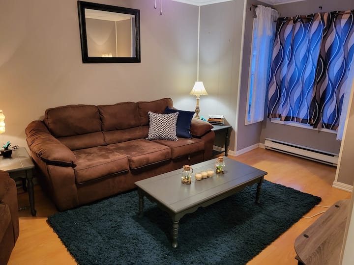 Historical Downtown Gem!! (with back yard) Serviced apartments for