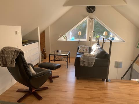 Popular Airbnb listing: Mini apartment next to Bråvikens golf course in Norrköping