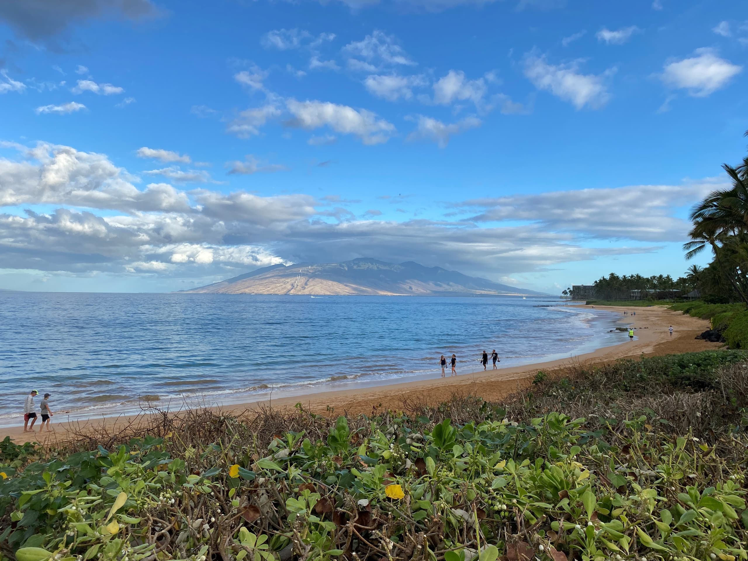 Townhouse in Kihei · ★4.86 · 2 bedrooms · 4 beds · 2 baths - Image 32