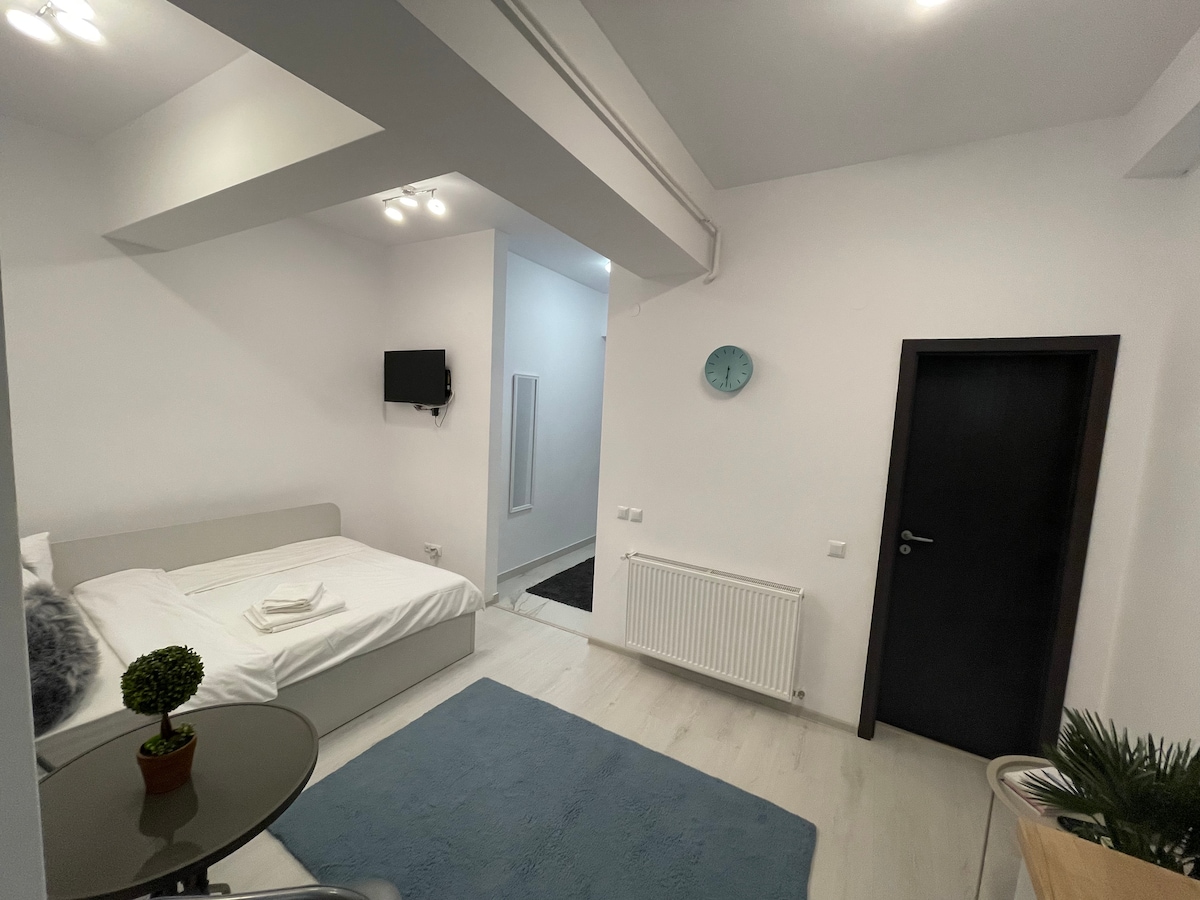 A modern urban studio is showcased, featuring a spacious bed with clean linens. An open layout is presented, with a small dining table and chairs nearby. A wall-mounted television and a clock add functional elements, while a decorative plant enhances the inviting atmosphere.