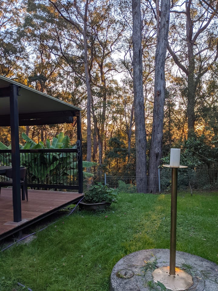Springbrook Cabin Rentals Cabins and More Airbnb