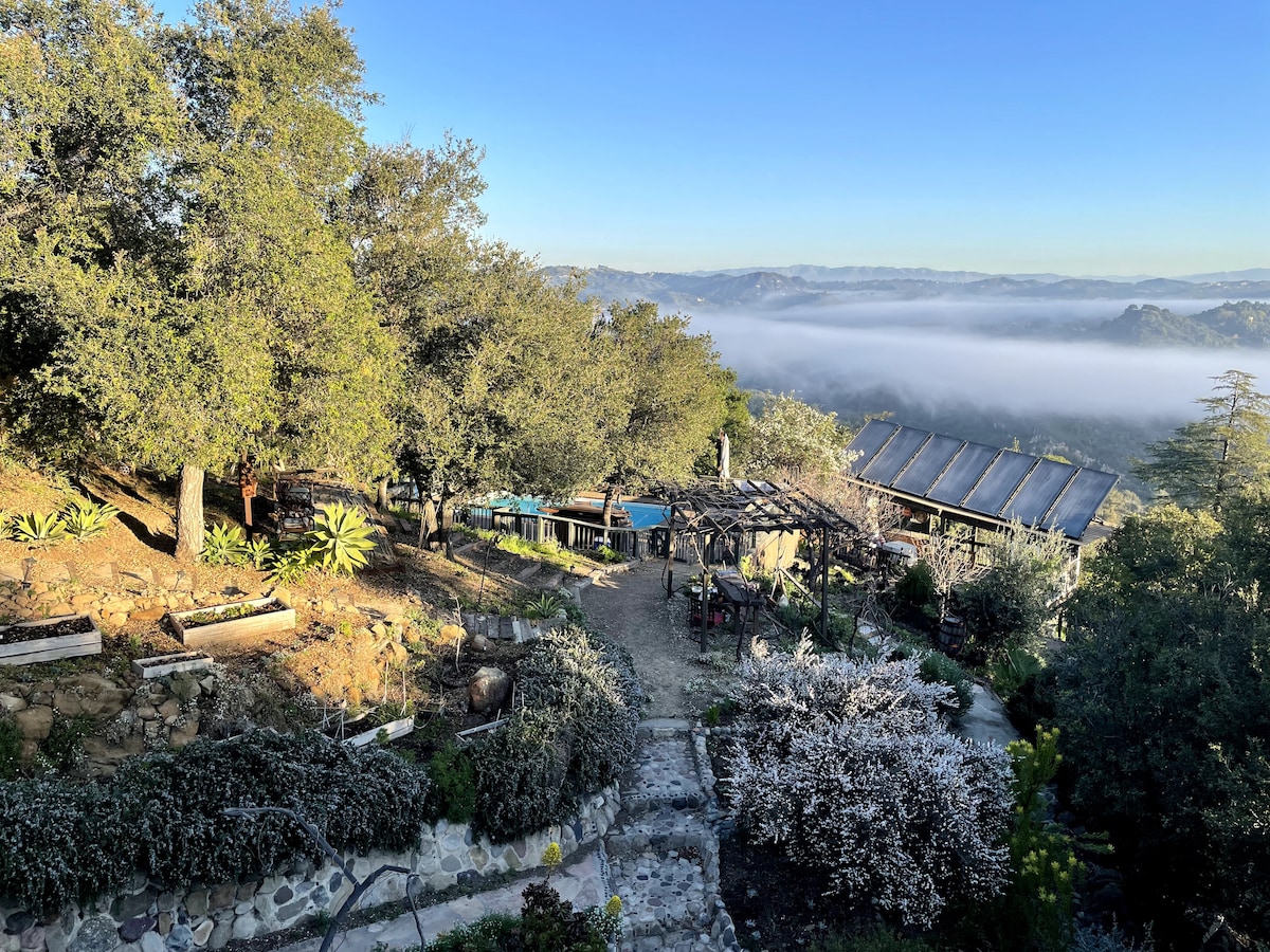 The expansive outdoor area is surrounded by lush greenery, with pathways leading through the garden. Various plants and trees provide natural cover, while a structure with large windows captures scenic views of the mist-covered mountains in the background.