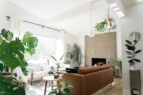 Bright & Trendy Plant Bungalow
