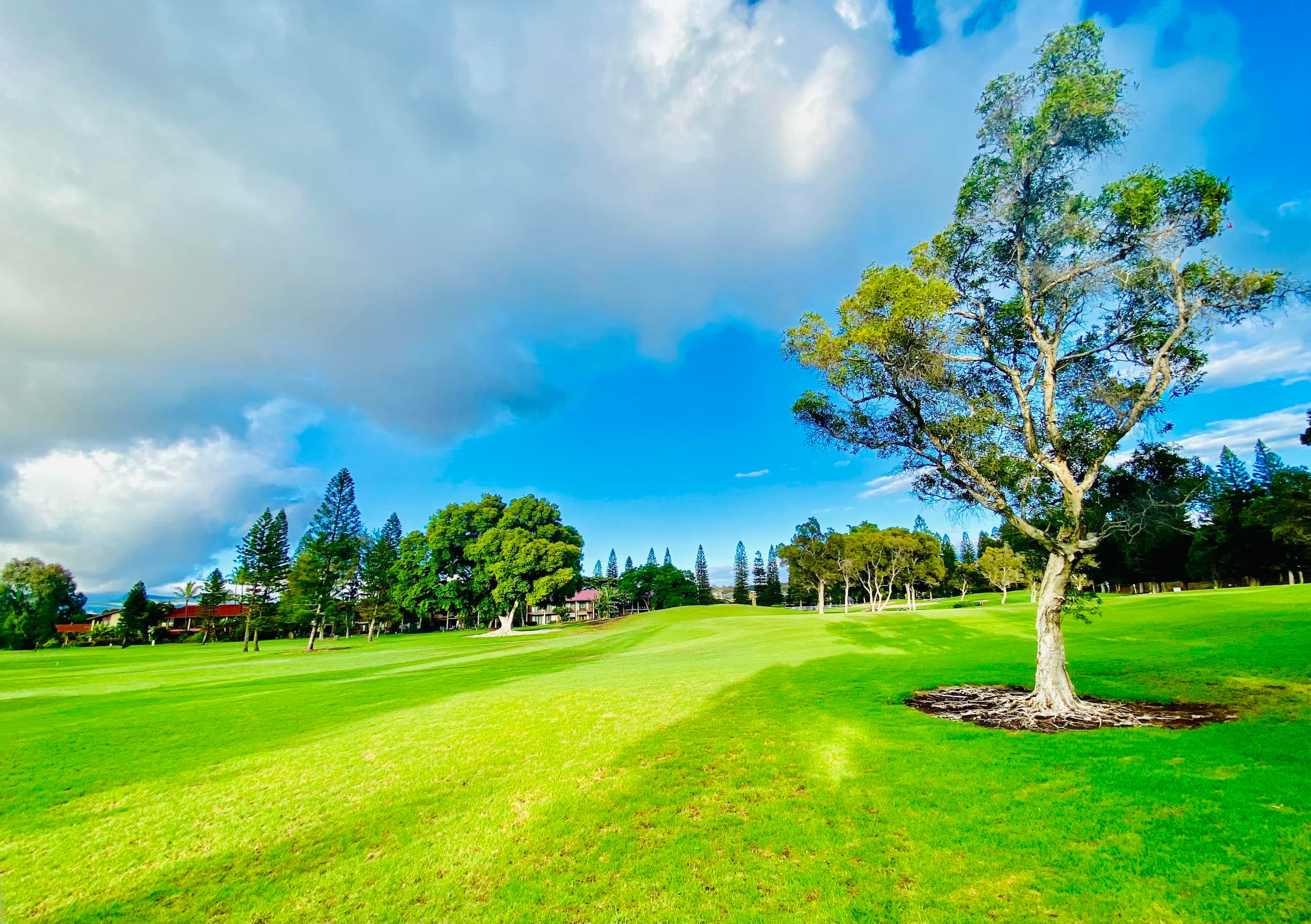 Beautifully Remodeled 2 BR 2 BA & Stunning Views - Photo 8