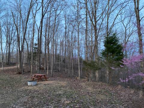 #23 Eagle's Nest campsite, picnic table, firepit
