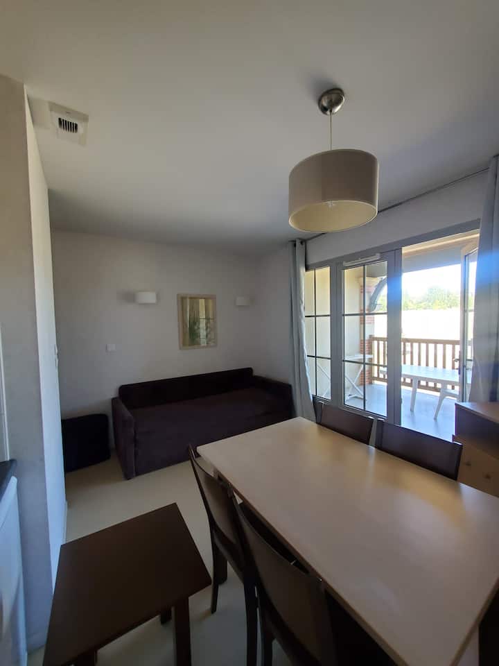 Charmant Appartement Avec Parking Privé Gratuit - Barbaste