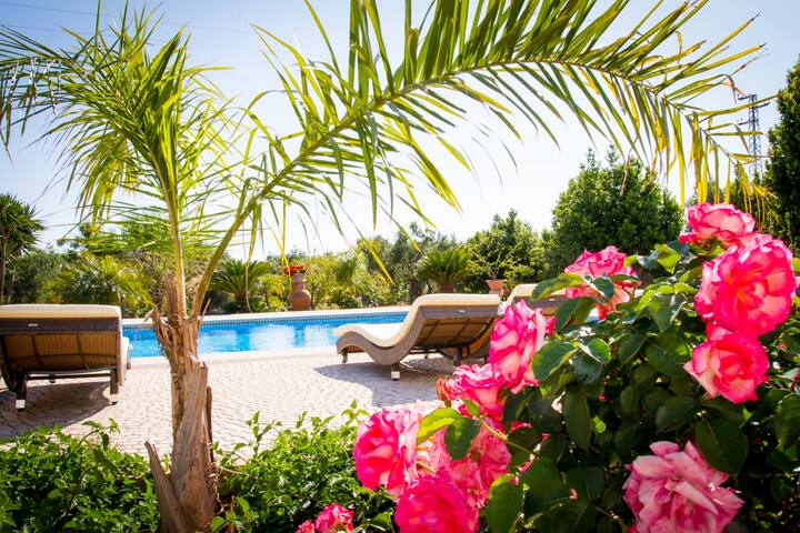 Villa Vanessa Luxury Santa Maria di Leuca, Salento