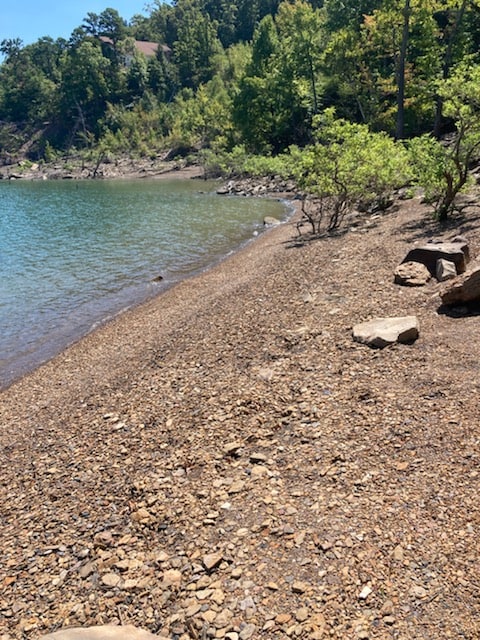 A serene lakeshore is depicted, featuring a gradual slope of pebbles leading to calm waters. Surrounding greenery includes small shrubs and trees, framing the water's edge. The rocky shoreline hints at a natural, unspoiled environment, inviting exploration and relaxation.