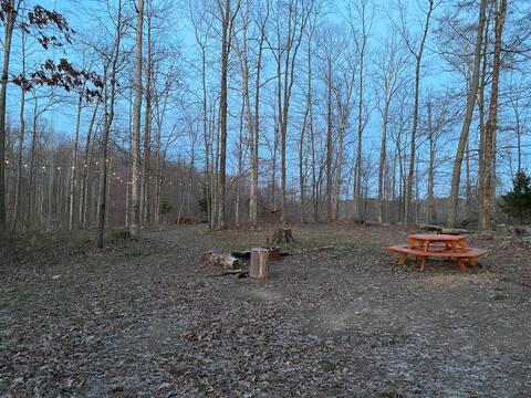 #22 Lumberjack with Picnic Table, Firepit-dead end