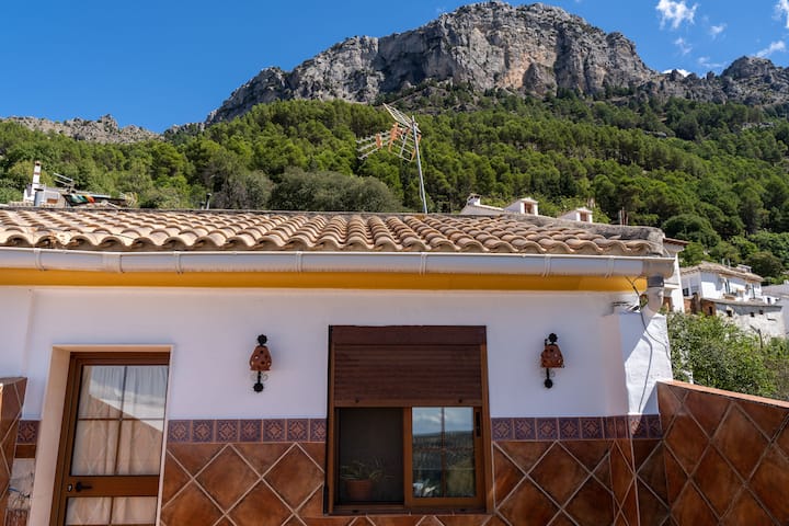 Accommodation with a Terrace