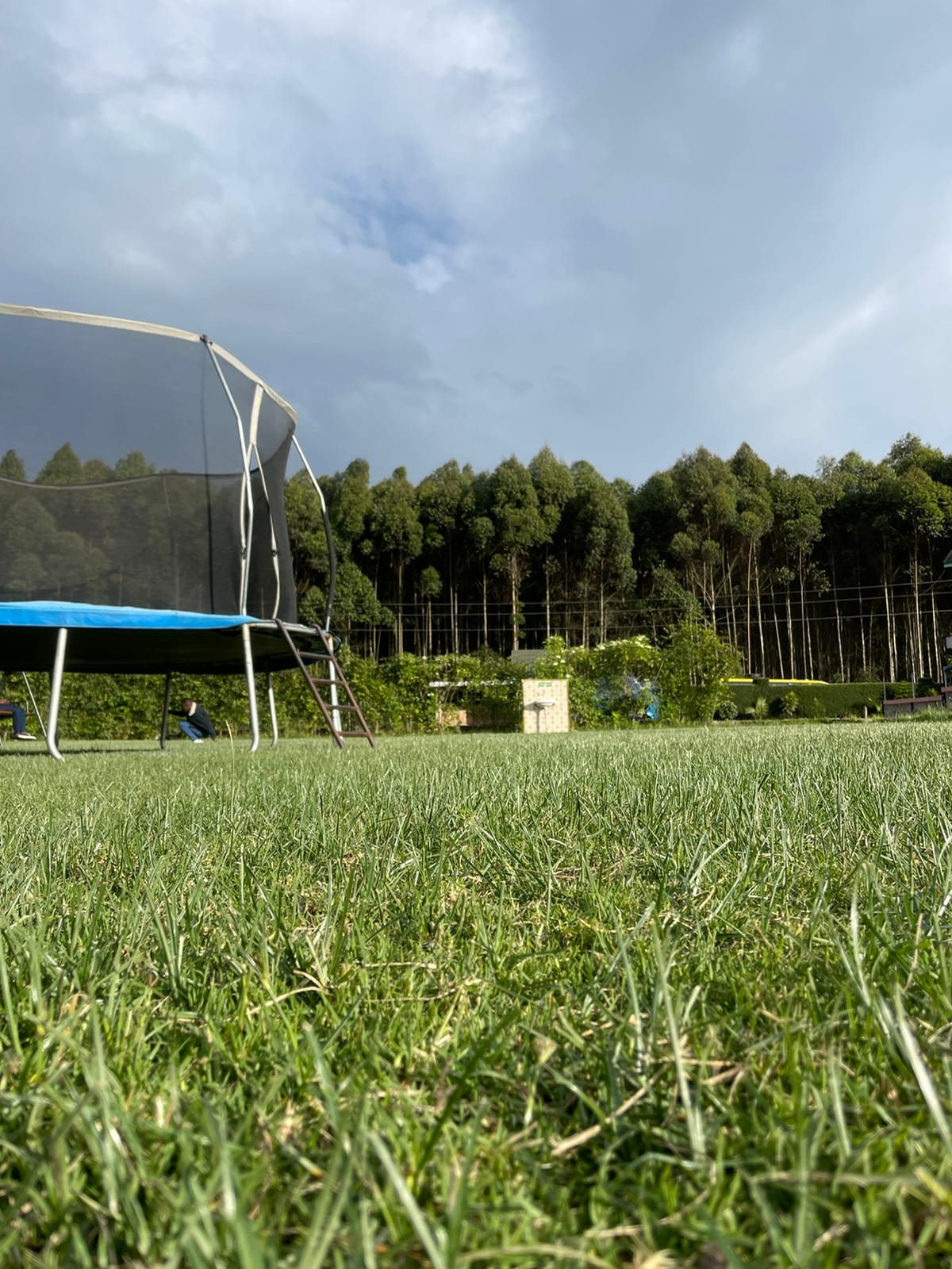 A well-maintained green lawn is featured, with a trampoline positioned nearby. In the background, a cluster of tall trees forms a natural border, while a garden area with hints of colorful plants adds interest to the landscape. A serene atmosphere is evident.