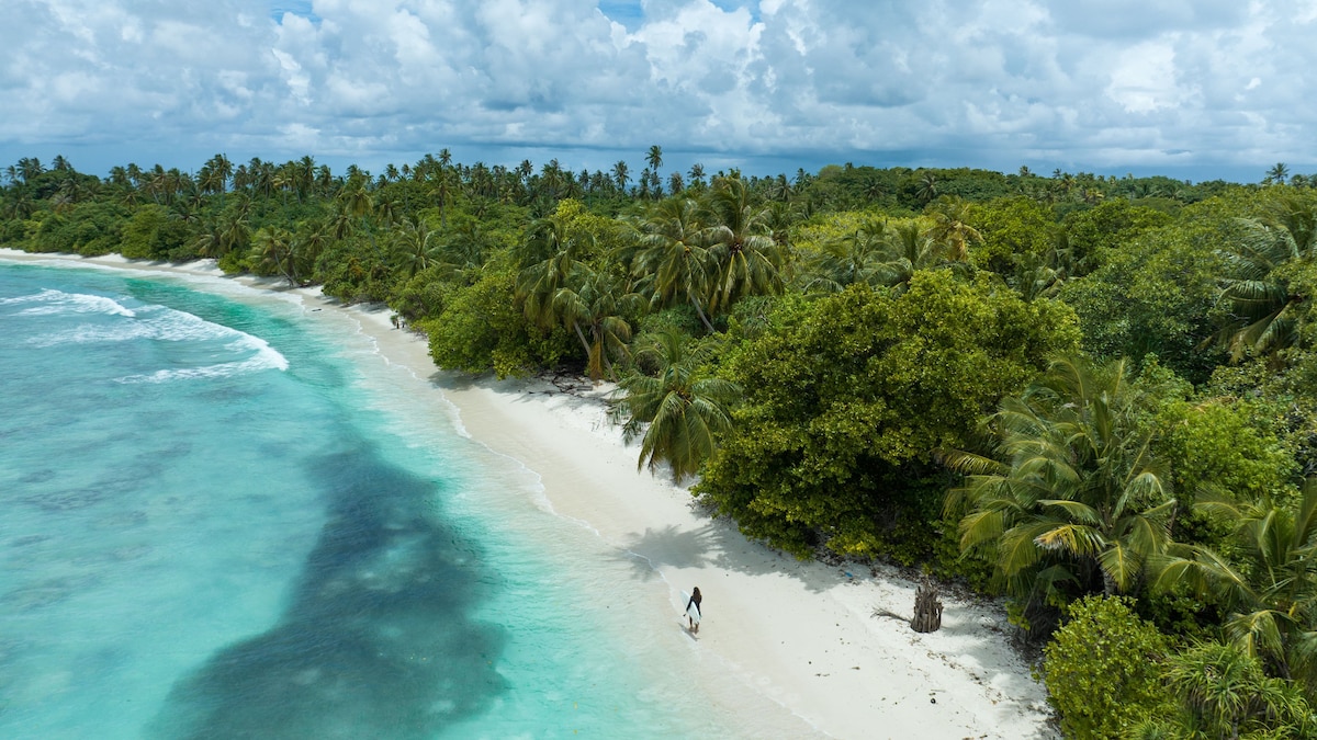 A serene beach scene is depicted, featuring soft white sand bordered by clear turquoise water. Lush greenery and palm trees line the shore, creating a tranquil and inviting setting. The sky is filled with scattered clouds, enhancing the natural beauty of the landscape.