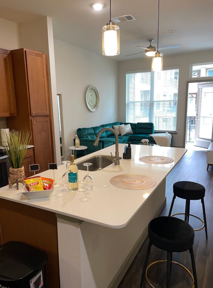 Luxury Modern One Br Apt w/ Pool View *Downtown* Flats for Rent in