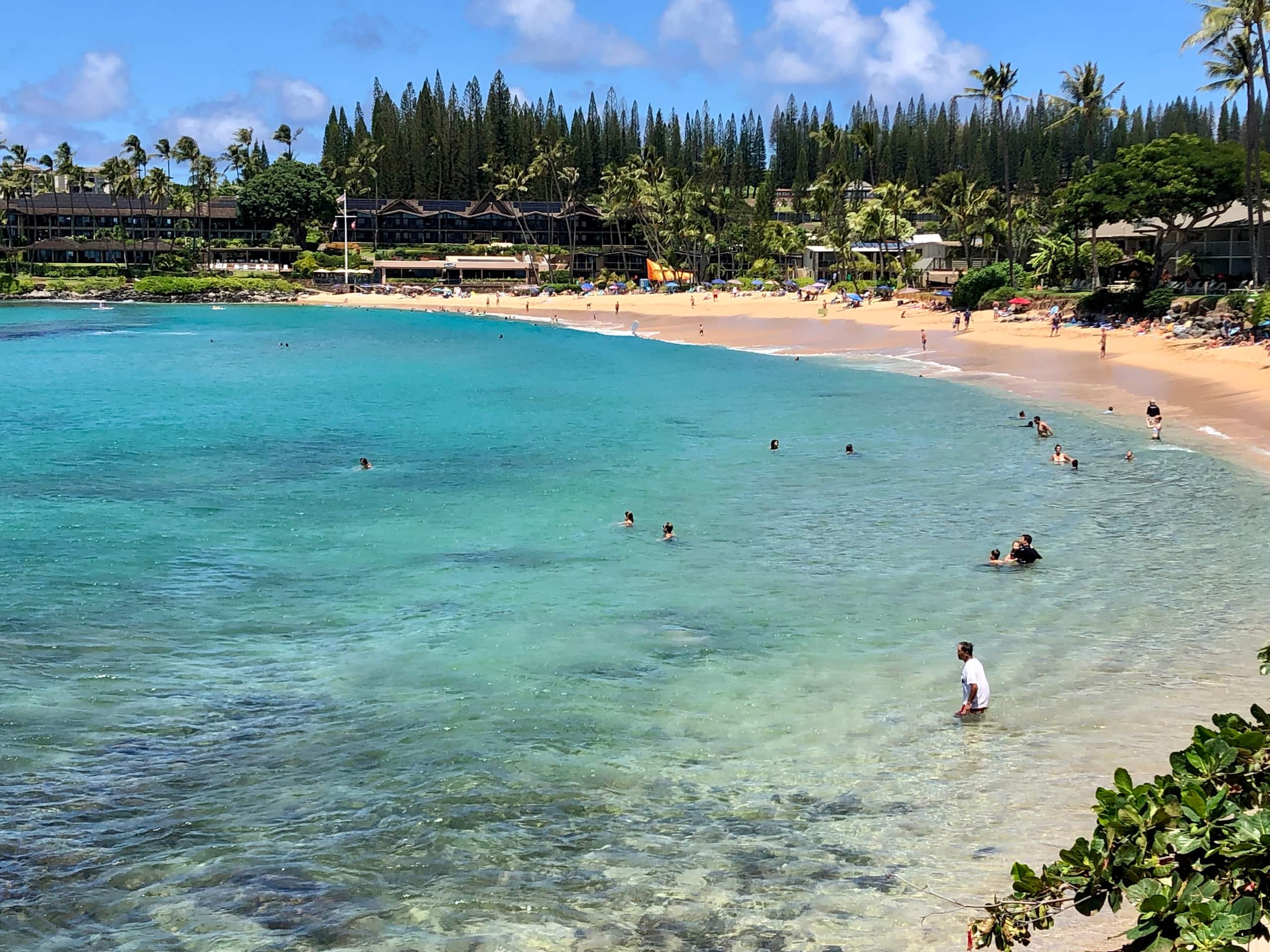 Condo in Lahaina · ★4.99 · Studio · 2 beds · 1 bath - Image 23