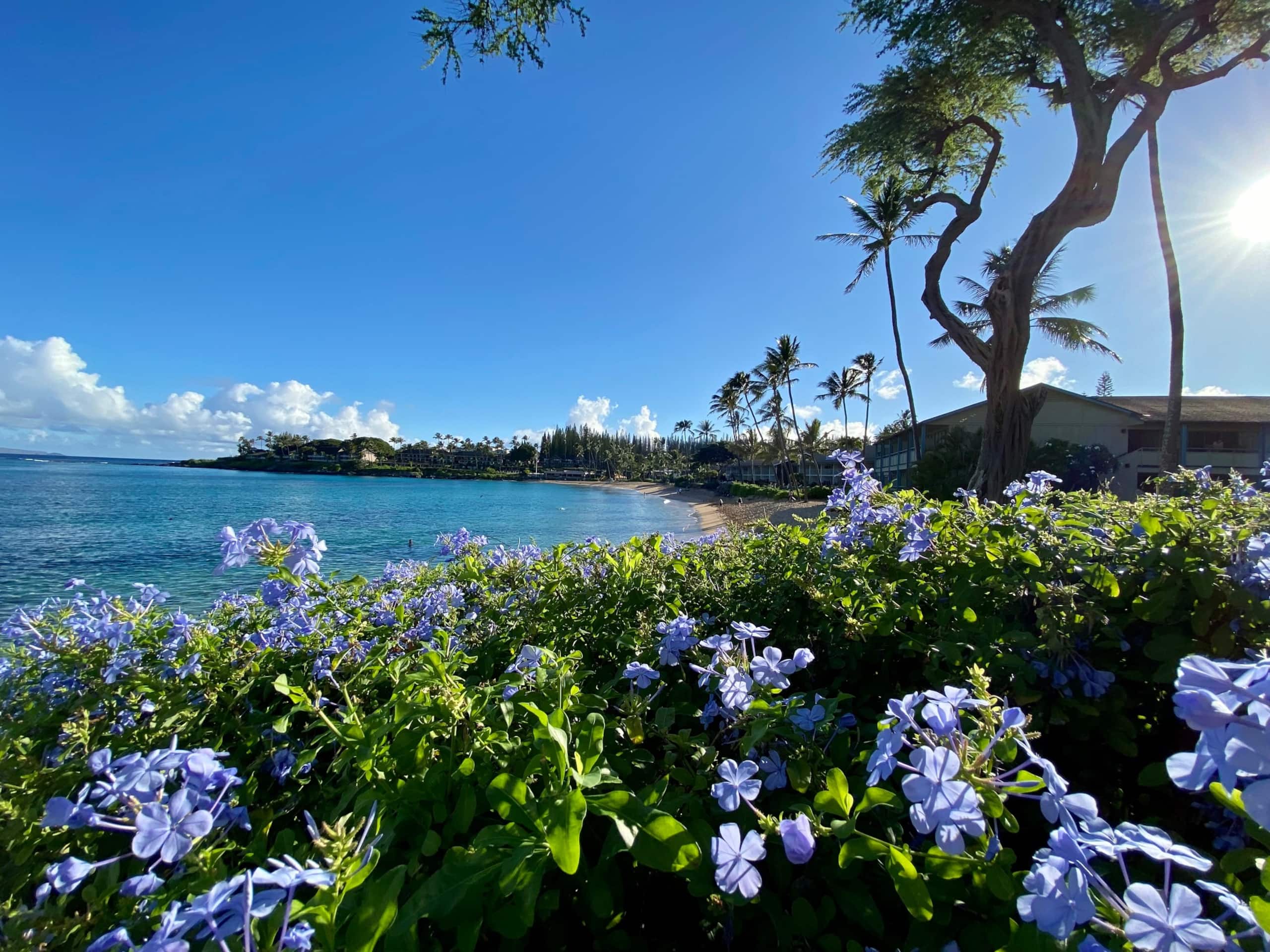 Condo in Lahaina · ★4.99 · Studio · 2 beds · 1 bath - Image 24