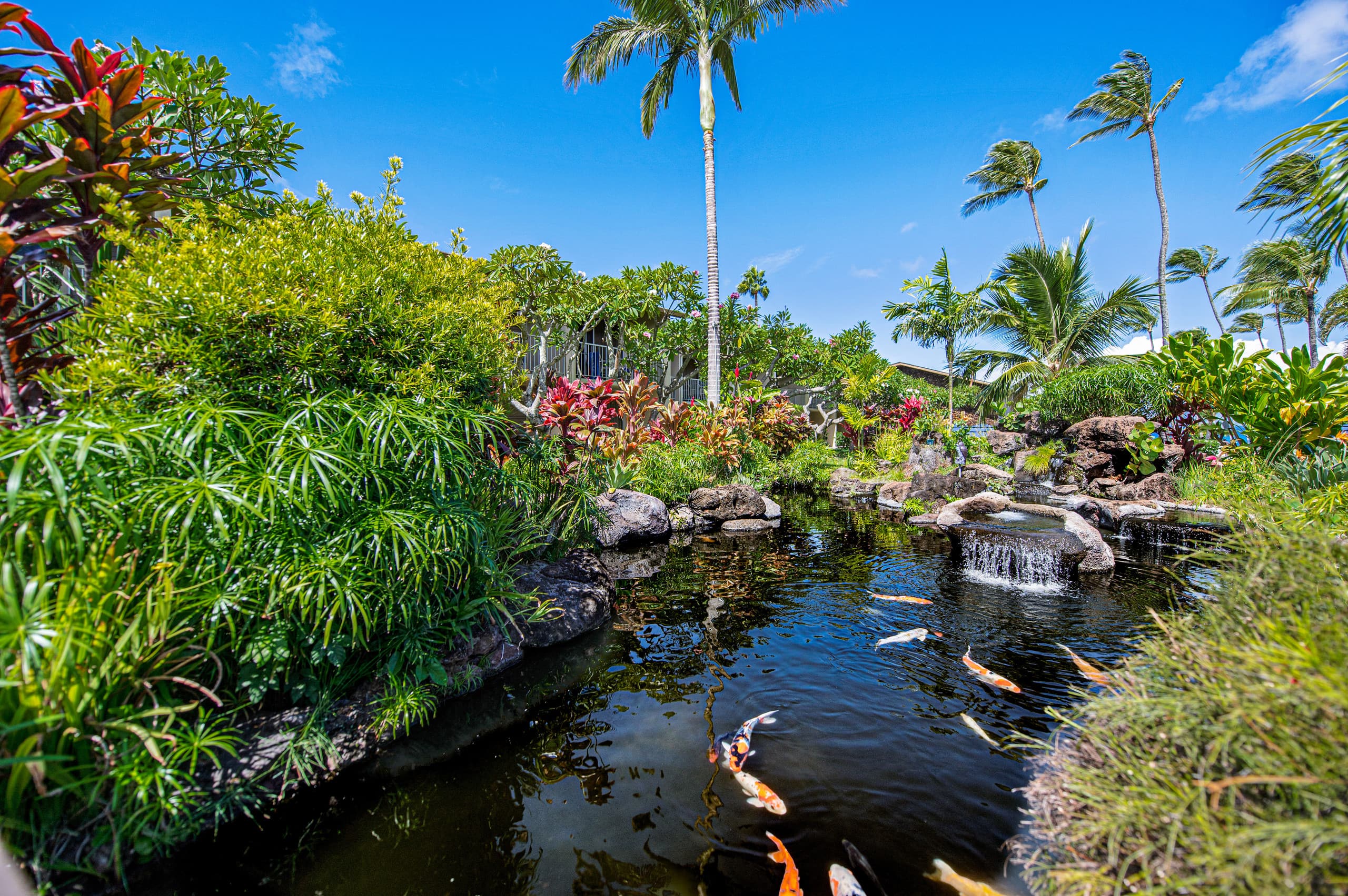 Condo in Lahaina · ★4.99 · Studio · 2 beds · 1 bath - Image 28