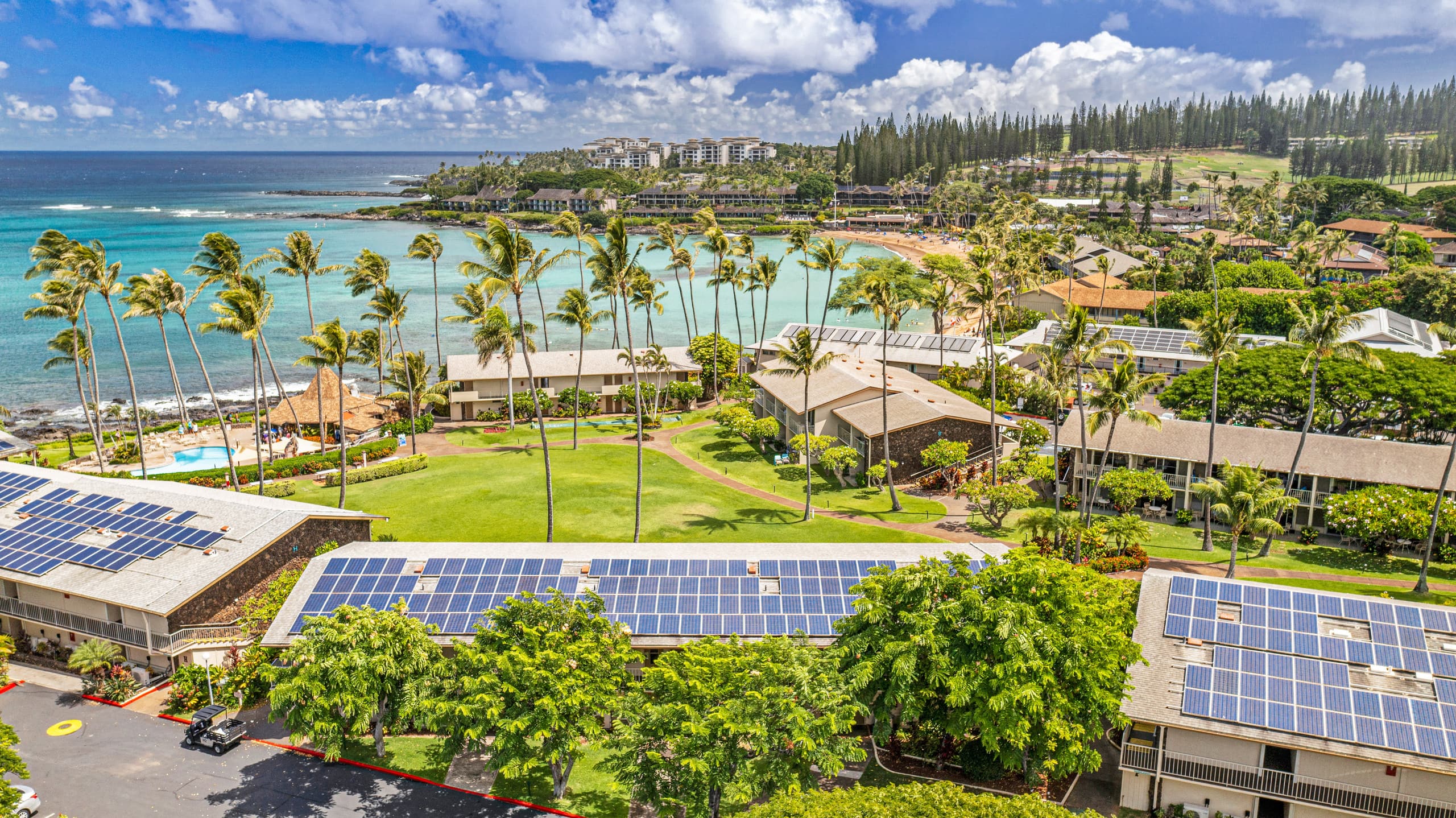 Condo in Lahaina · ★4.99 · Studio · 2 beds · 1 bath - Image 15