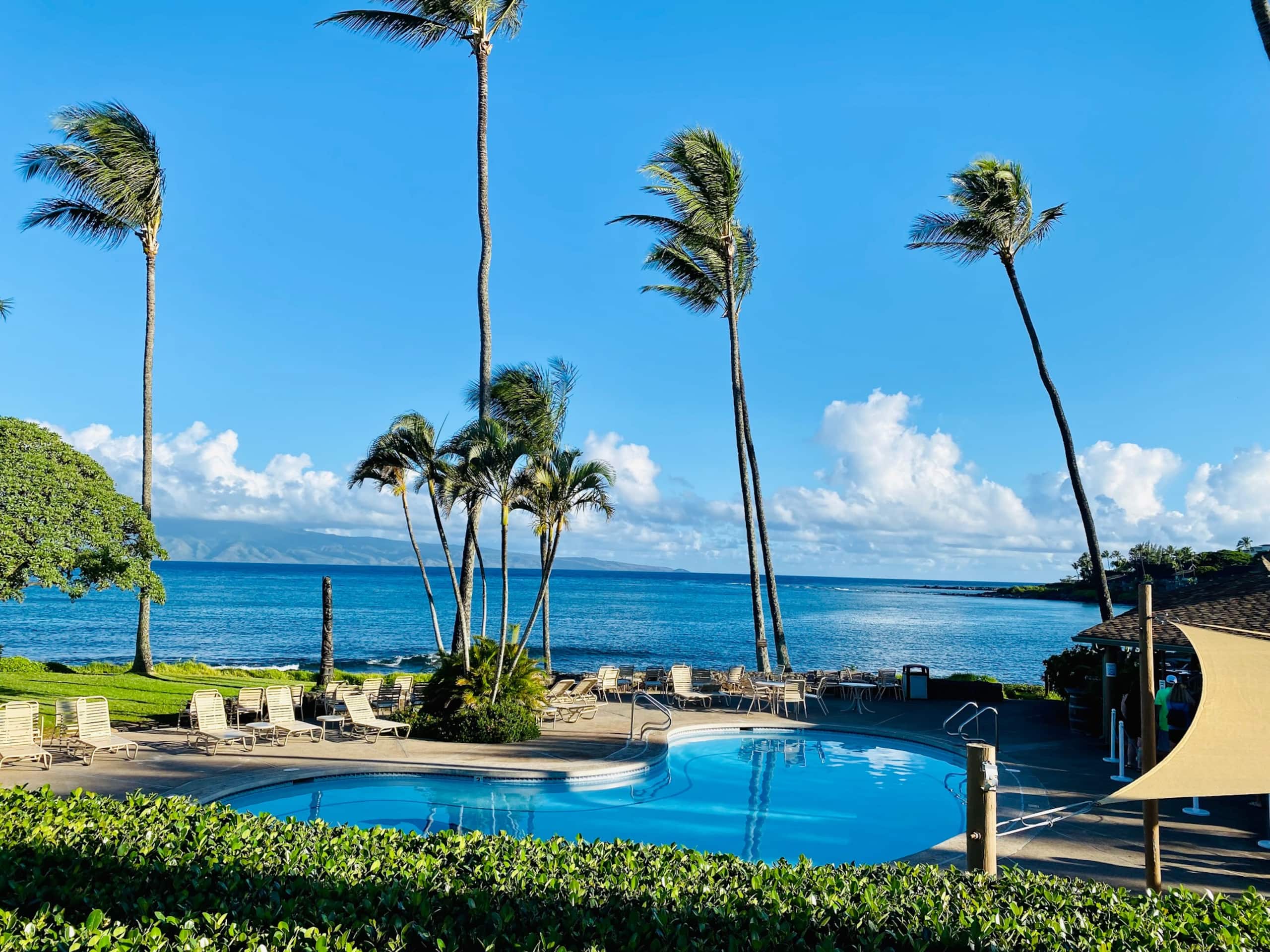 Condo in Lahaina · ★4.99 · Studio · 2 beds · 1 bath - Image 30