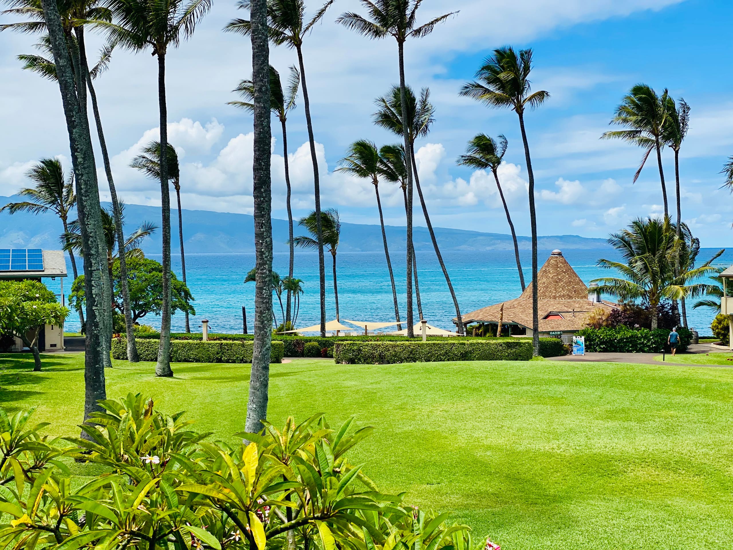 Condo in Lahaina · ★4.99 · Studio · 2 beds · 1 bath - Image 12
