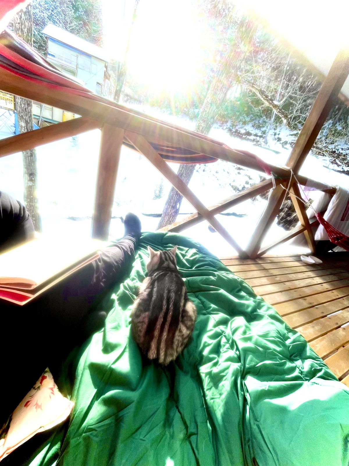A peaceful corner on a wooden deck is captured, showcasing a sunlit view through a railing. A sleeping cat rests on a green blanket, while a person's leg is visible beside a book, creating a serene atmosphere in the midst of nature.