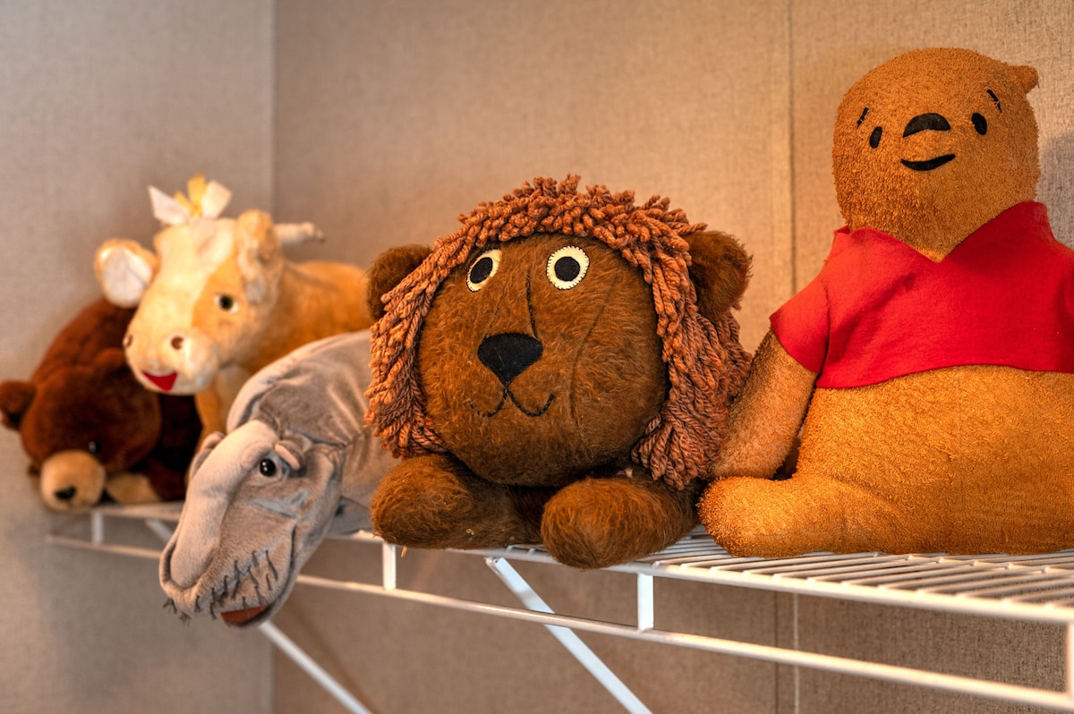 A selection of plush toys is displayed on a wire shelf. The collection includes a lion, a bear, a sheep, and a playful dinosaur. Each toy features distinct colors and textures, offering a welcoming and friendly atmosphere.