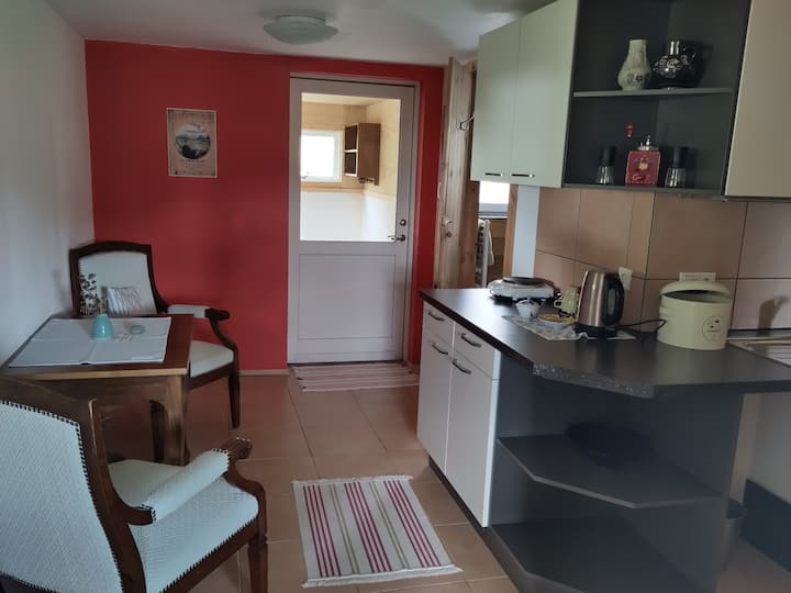 B & B Close To Vik - Islande