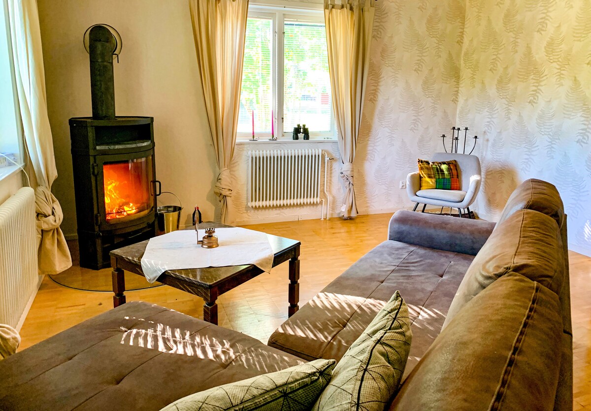 ห้องนั่งเล่นพร้อมเตียงโซฟาแบบดึงออกและเตาผิงแบบเผาฟืน