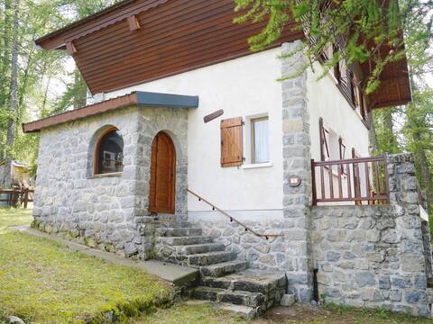 Beautiful Valberg Chalet 10 people 3 bedrooms