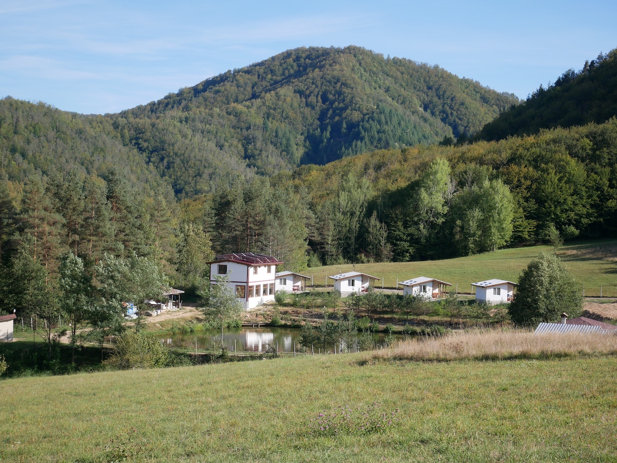 A group of five bungalows and a larger building is situated near a serene lake, surrounded by lush greenery and rolling hills. The scene captures the tranquil setting within a vast meadow, with trees lining the background against a clear blue sky.