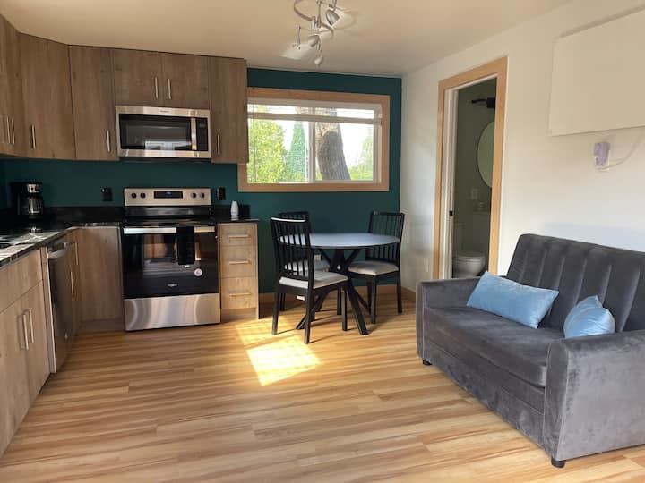 West Seattle Vacation Rentals & Homes - Seattle, WA | Airbnb