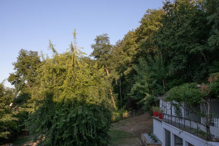 La Chapelle Aux Brocs Vacation Rentals Homes Nouvelle Aquitaine France Airbnb