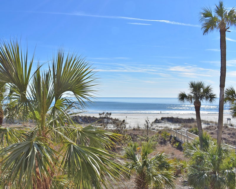 A view of the ocean showcases a sandy beach meeting calm waters under a clear blue sky. Green palm trees frame the scene, providing a tropical backdrop. A private boardwalk leads to the beach, inviting relaxation by the water.