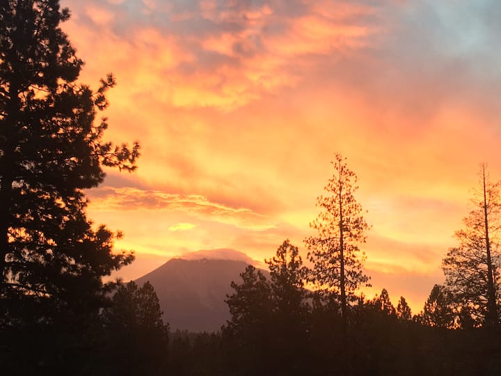 Mountain Breeze Pet Friendly Sun & Stars! Houses for Rent in Weed