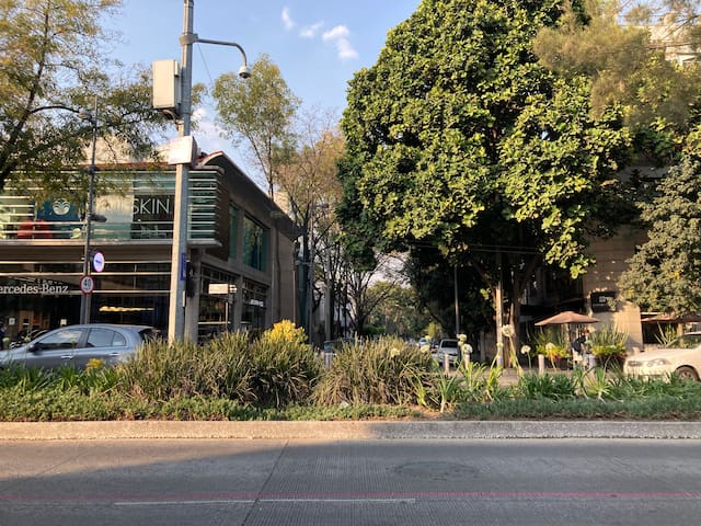 A 20m de Mazaryk Polanco Encantador Depto. Vívelo!